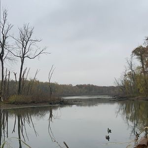 Meet your Posher, Jared